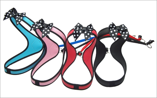 polkadotribbon_main
