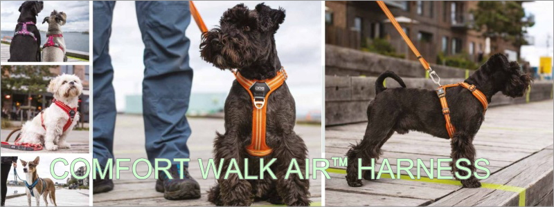 comfort walk air harness(コンフォートウォークエアハーネス)