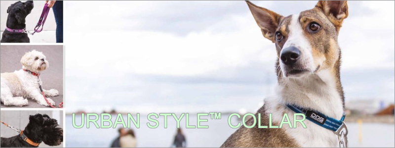 Urban Style collar(アーバンスタイルカラー)