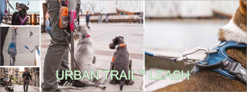 Urban trail leash(アーバントレイルリーシュ)